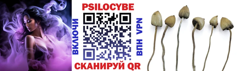продажа наркотиков  Корсаков  Псилоцибиновые грибы Magic Shrooms 