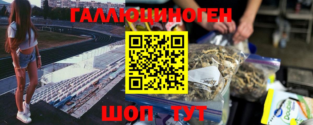 Галлюциногенные грибы GOLDEN TEACHER Корсаков