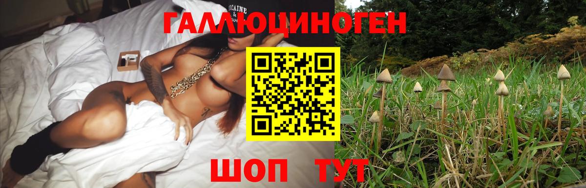 Галлюциногенные грибы мухоморы  Вход с VPN  Корсаков 