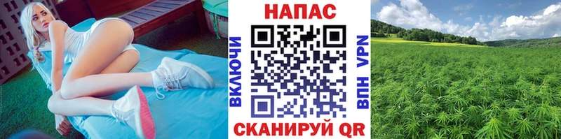 Конопля VHQ  Корсаков 